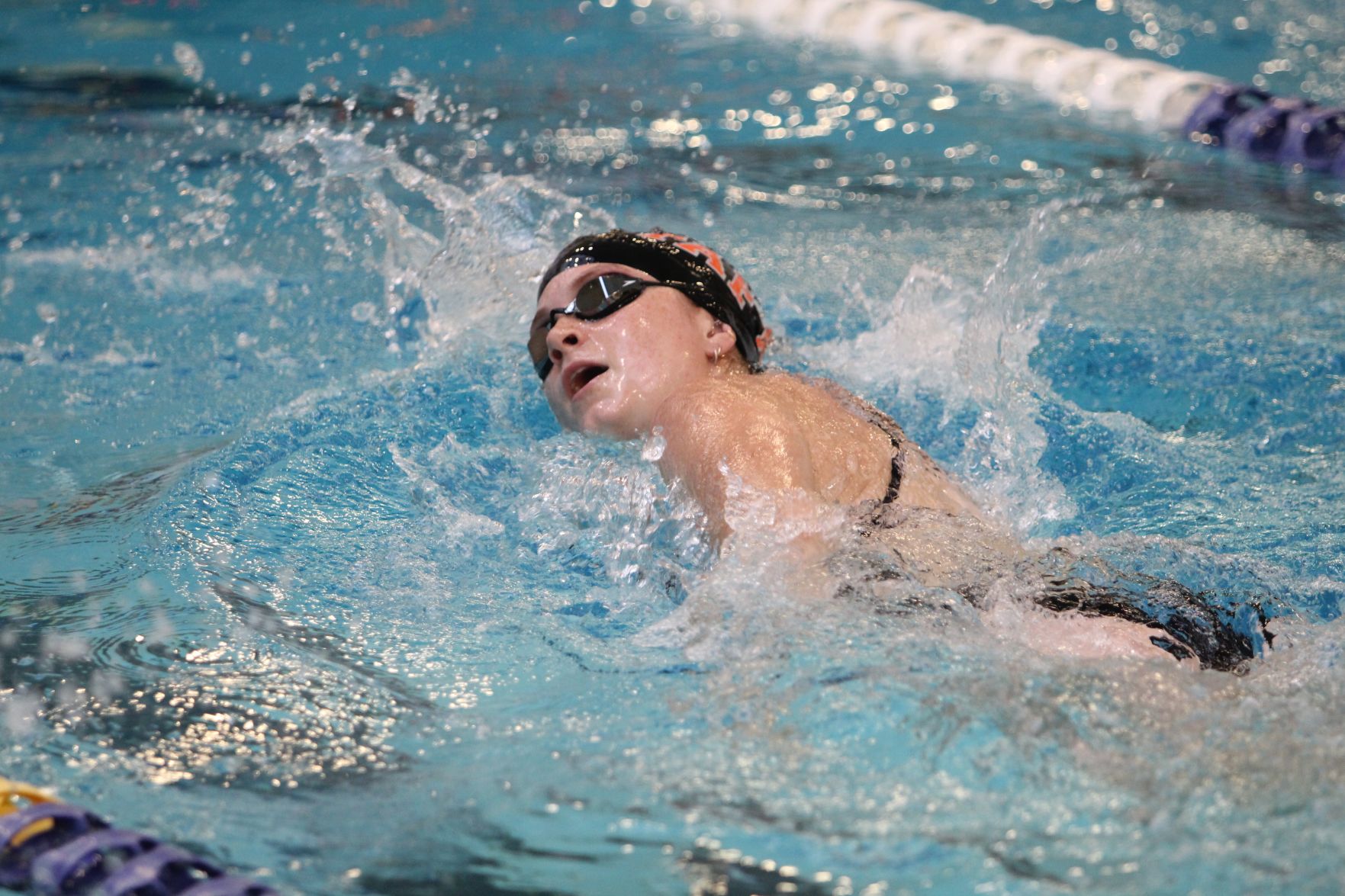 swim.jpg